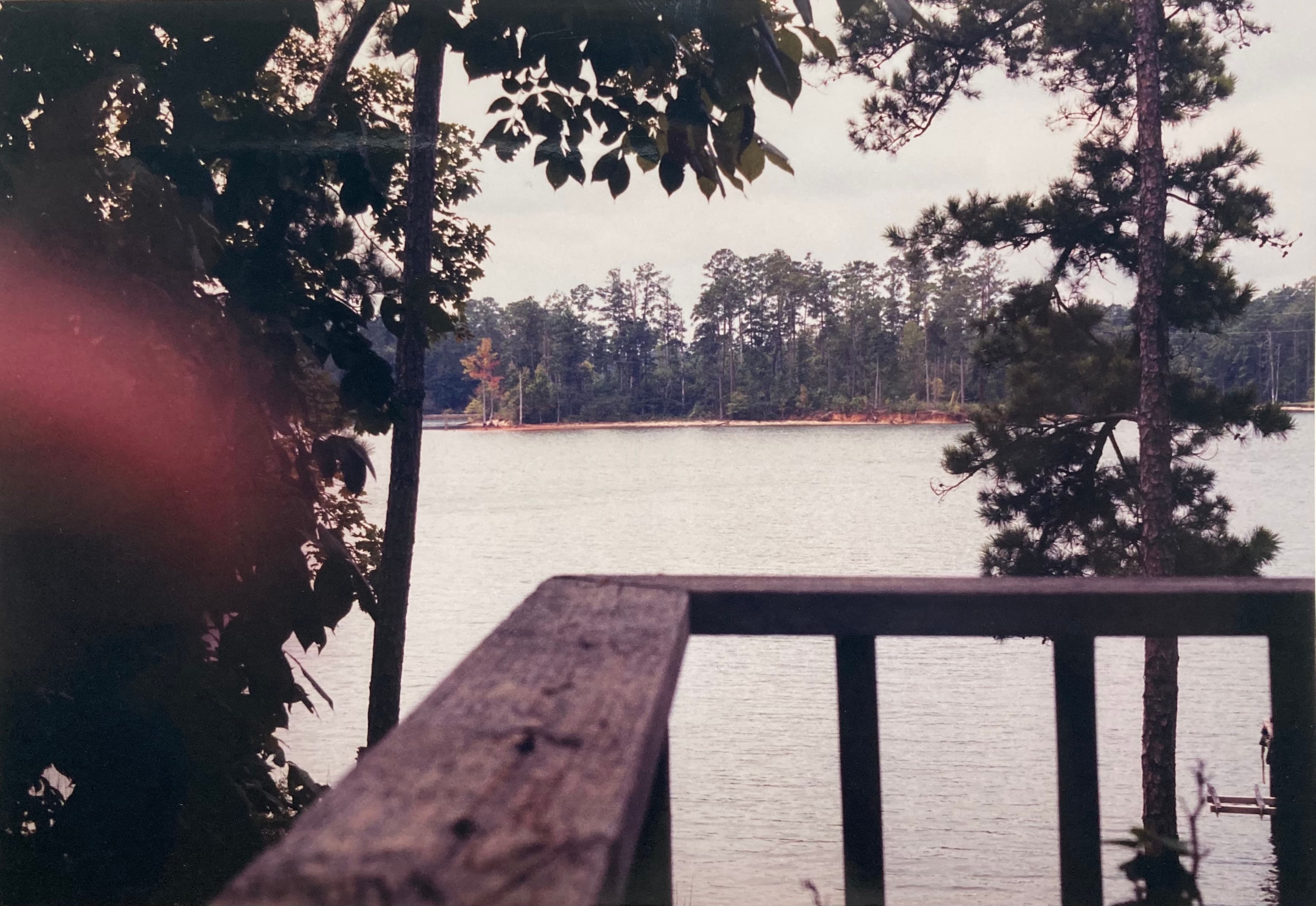 View island in Lake Martin .