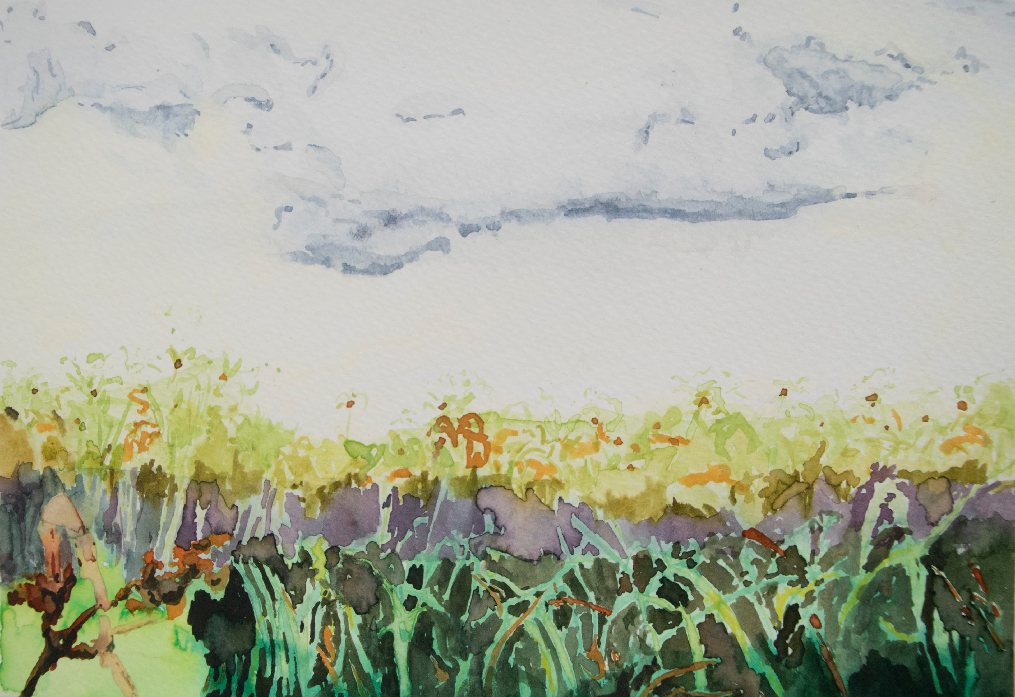 Watercolor of papyrus swamp in Uganda